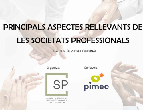 PRINCIPALS ASPECTES RELLEVANTS DE LES SOCIETATS PROFESSIONALS